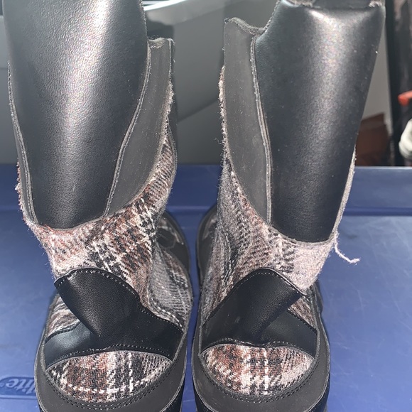 Wild dival - Picture 5 of 9